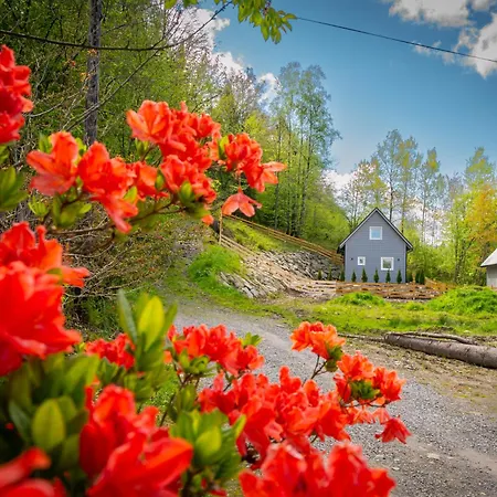 Prázdninový dům U Sosny - Nowoczesne Na Wylacznosc, Spokojna Okolica Blisko Lasu I Szlaku, 1,2 Km Od Centrum Brennej