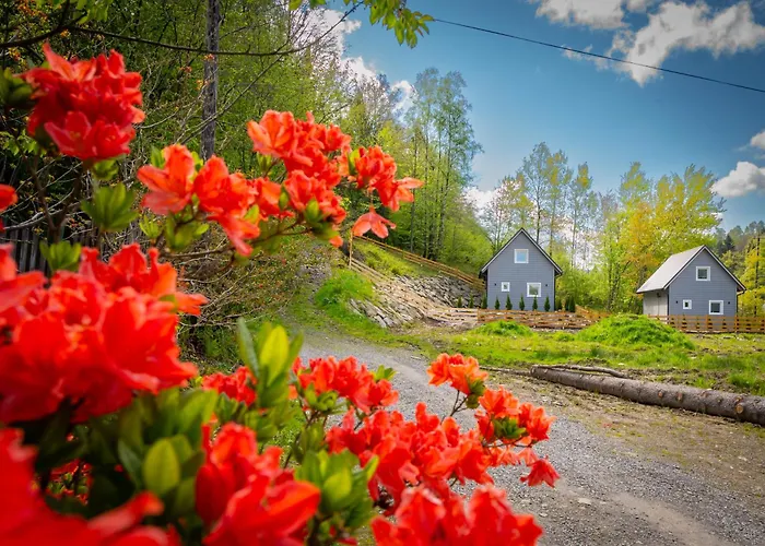 Dom wakacyjny U Sosny - Nowoczesne Na Wyłączność, Spokojna Okolica Blisko Lasu I Szlaku, 1,2 Km Od Centrum Brennej