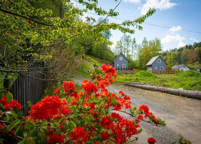 U Sosny - Nowoczesne Na Wyłączność, Spokojna Okolica Blisko Lasu I Szlaku, 1,2 Km Od Centrum Brennej Dom wakacyjny