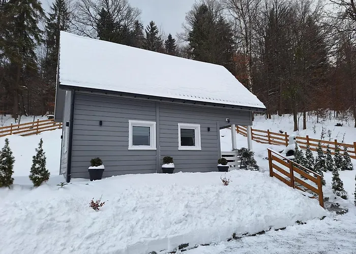 U Sosny - Nowoczesne Na Wyłączność, Spokojna Okolica Blisko Lasu I Szlaku, 1,2 Km Od Centrum Brennej *