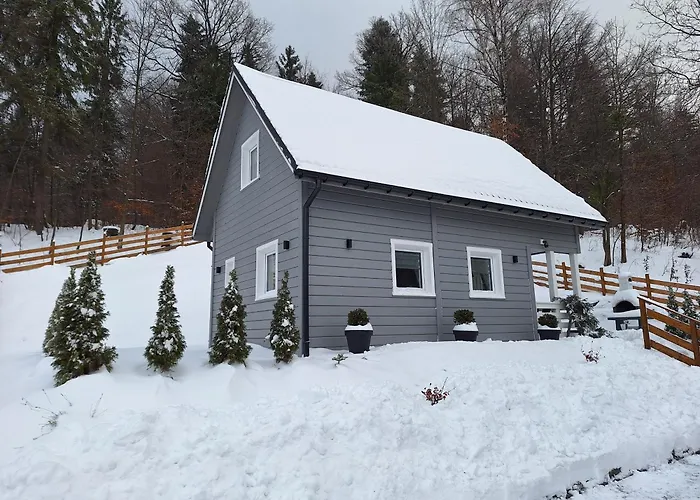 Dom wakacyjny U Sosny - Nowoczesne Na Wyłączność, Spokojna Okolica Blisko Lasu I Szlaku, 1,2 Km Od Centrum Brennej